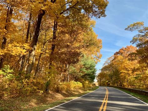 5 Ways To Enjoy Fall Foliage In Shenandoah National Park