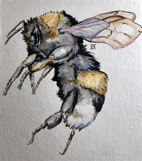 Bumblebee Watercolor With Ink And Colored Pencil 5 X5 Art