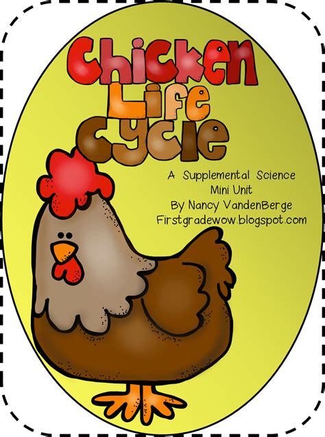 First Grade Wow Animal Feet And Chicken Life Cycle Chicken Life Cycle
