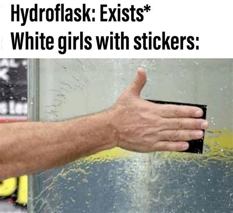 Hydro Flask Meme Girl