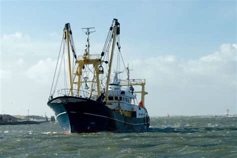 Hábitat De La Vaquita Marina Continúa En Peligro Por Pesca Ilegal