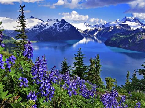 We offer an extraordinary number of hd images that will instantly freshen up your smartphone or computer. Hd Wallpaper Landscape Nature Lake Mountains Flowers ...