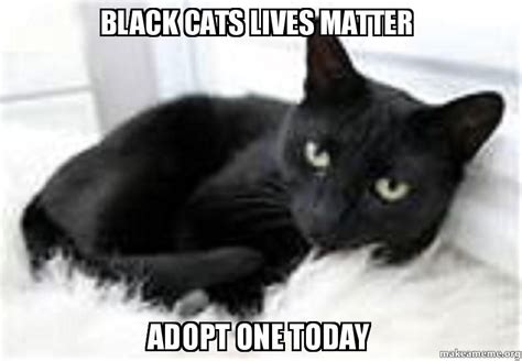 At worst, they're seen as harbingers of really bad luck. BLACK CATS LIVES MATTER ADOPT ONE TODAY
