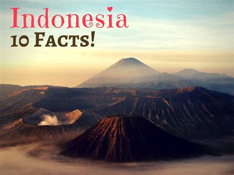 10 Facts You Didnt Know About Indonesia Halaltrip