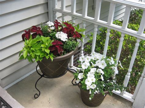 My Front Porch Flower Pots Assorted Annuals Front