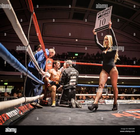 Boxing Ring Girl Round Hi Res Stock Photography And Images Alamy