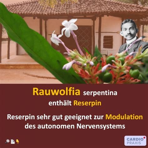Um die nervosität in der entsprechenden situation zu verringern. Innere Unruhe und Bluthochdruck - gute Wirkung von ...