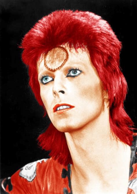 Ziggy Stardust Persona David Bowie Wiki Fandom Powered By Wikia