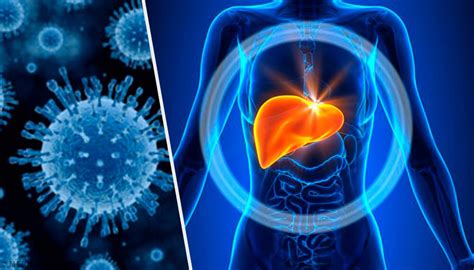 It's caused by the hepatitis c virus. Pharmaceutical Microbiology