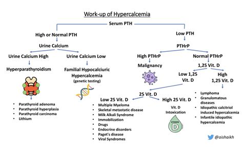Workup Of Hypercalcemia Differential Diagnosis Algorithm High
