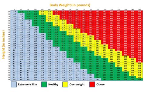A Guide To Army Height And Weight Standards Genuine Jayjays Blog