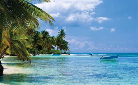 Sattgrüne berge, weiße strände und typisch karibische atmosphäre. Beste Reisezeit und Klima für Haiti