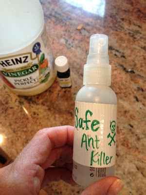 Last week i shared my homemade peppermint ant deterrent spray that helps keep ants made this homemade ant killer that is safe for indoor use and safe for your pets! 14 DIY Effective And Natural Ant Killer Recipes