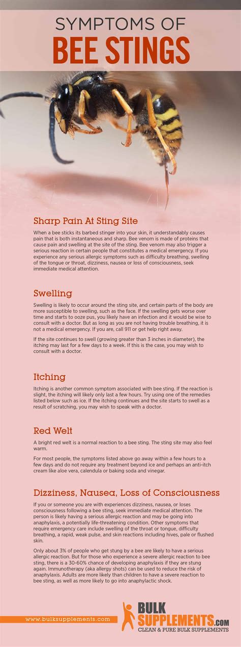 Bee Stings Characteristics Causes And Treatment