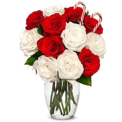 Christmas flowers celebrate the christmasin the most specialised manner, send flowers to germanyand express your christmas greetings. 24 Contemporary Christmas Flower Arrangements to Send