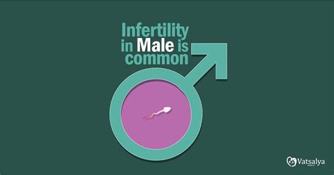 Lets Talk Male Factor Infertility
