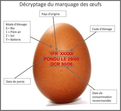 Trucs Astuces Et Cuisson Des œufs Cuisson Des Oeufs Trucs De