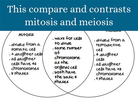 Mitosis Vs Meiosis Venn Diagram