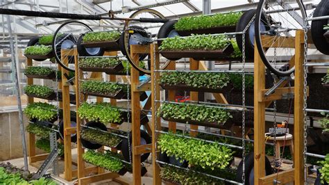 Hydroponic Vertical Farming Aquaponic Urban Agricultural Design