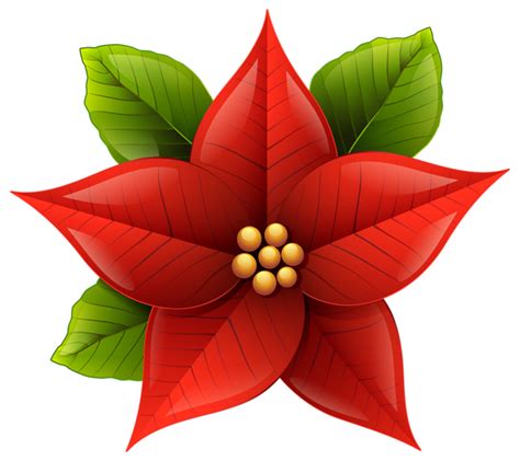 White Ivory Poinsettia Png Clipart 10 Free Cliparts Download Images