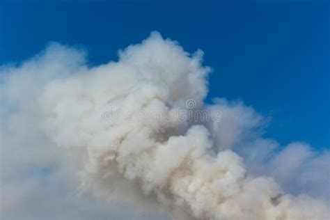 Billowing Smoke From Forest Fire Stock Photo Image Of Branch Fairy