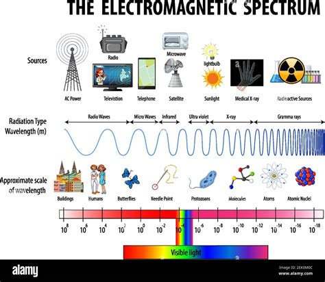 Diagrama del espectro electromagnético ciencia ilustración Imagen