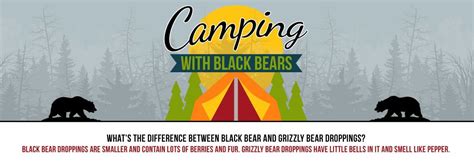 Black Bear Safety Tips Infographic The House