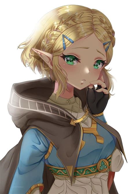 Legend Of Zelda Breath Of The Wild Sequel Art Princess Zelda Botw