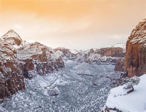 Why You Definitely Need To Visit Zion National Park In Winter Zion