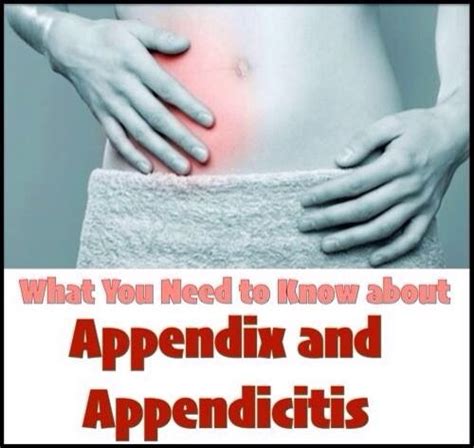 What You Need To Know About Appendix And Appendicitis Appendicitis