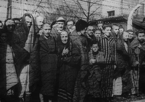 Barracks for prisoners behind barbed wire in a concentration camp in auschwitz. Study shows thousands of Catholic inmates kept the faith ...