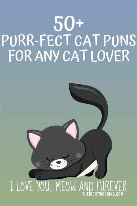 Hiss Terically Purr Fect Cat Puns For Any Cat Lover Cat Lover