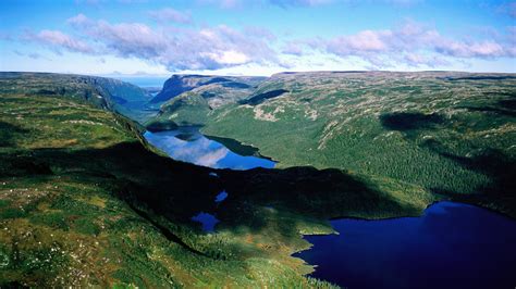 Newfoundland Wallpaper For Computer Wallpapersafari