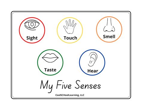 5 Senses Printable Preschool Poster Kindergarten Readiness Kids