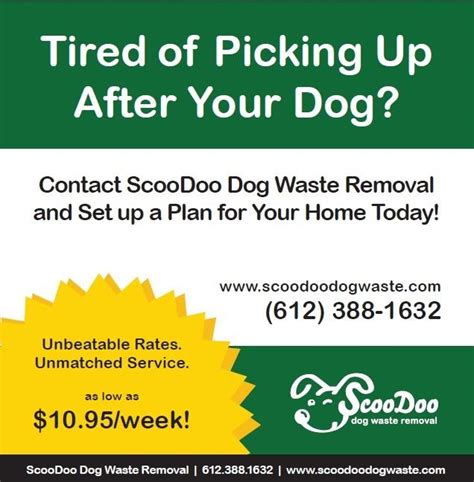 Our team will create a rental agreement based on your project needs. ScooDoo St. Paul Pet Waste Yard Cleanup from ScooDoo Dog ...