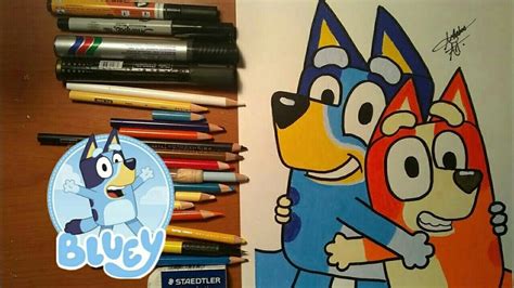 Bluey Y Bingo De La Caricatura Bluey Character Hedgehog Fictional