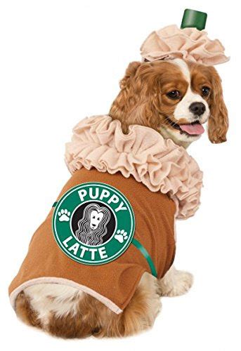 Best Pet Costumes For Halloween