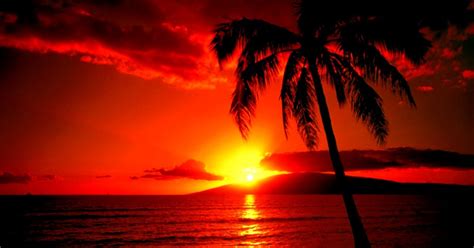 Hawaiian Beach Sunset Amazing Wallpapers