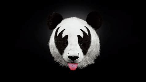 Panda Dark 4k Hd Animals 4k Wallpapers Images Backgrounds Photos