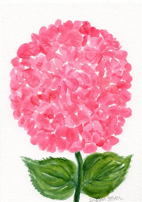 Pink Hydrangeas Watercolors Paintings Original Hydrangea Pink Etsy