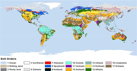 Soil Map Of World Draw A Topographic Map