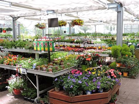 La Jardinerie Fontenay Le Comte - Heures D Ouverture Pour Gamm Vert Le
