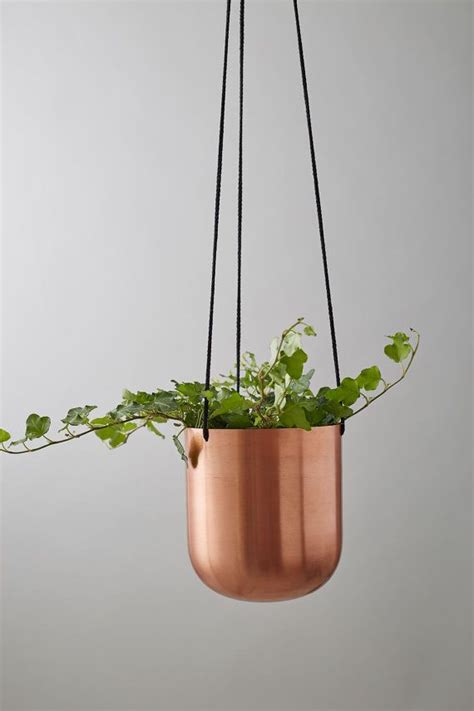The 25 Best Indoor Plant Hangers Ideas On Pinterest