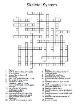 Put those phalanges to work and tap on the answers! Skeletal System Crossword Puzzle by The Teacher Team ...