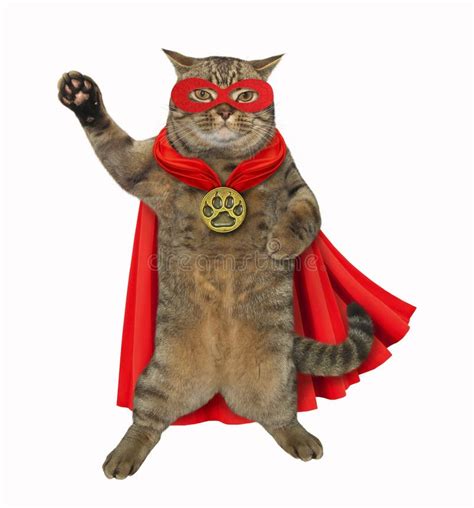 Cat Is A Super Hero Stock Illustration Illustration Of Power 130699482
