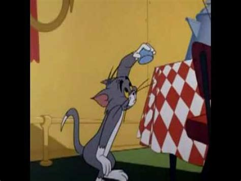 War of the whiskers lets you choose from nine different characters, including jerry the mouse and his feline nemesis tom. Clip - Clip Tom And Jerry Cat and Dupli Cat - Xem clip tai ...