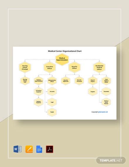 Medical Laboratory Organizational Chart Template Download In Word