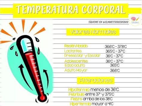 Valores De La Temperatura Corporal Oposiciones Auxiliar De Enfermeria