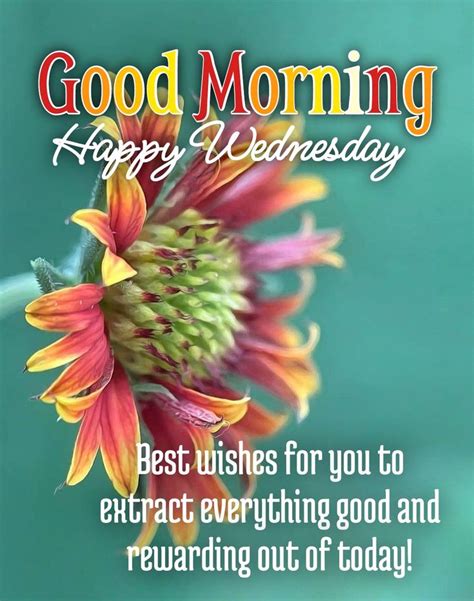 good morning wednesday in 2023 good morning quotes good morning wednesday good morning happy