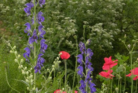Maybe you would like to learn more about one of these? Botanischer Garten - Bern - Bern - Bern - Aktivitäten